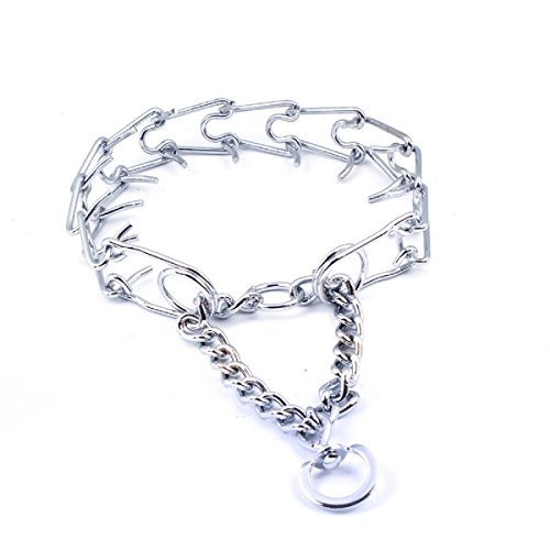 Collar ajustable Pettom engranaje del animal doméstico de acero cromado del entrenamiento del perro del diente Ronda de liberación rápida de 20 pulgadas