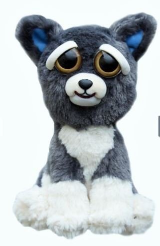 William marcadores Feisty Mascotas: Sammy Suckerpunch- adorable 8.5