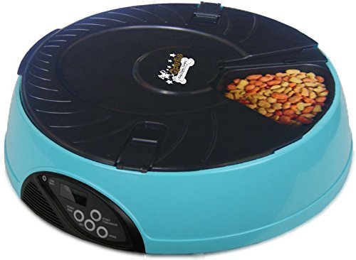 Qpets 6-Meal alimentador automático de mascotas