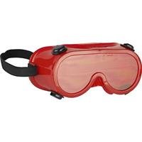 Orion 5942 AstroGoggles