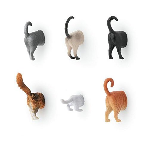 Kikkerland imanes del gato Butt, sistema de 6 (MG53)